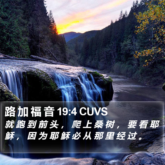 路 加 福 音 19:4 CUVS Bible Study