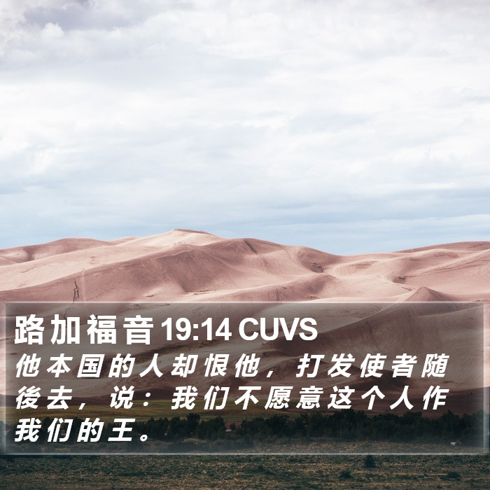 路 加 福 音 19:14 CUVS Bible Study