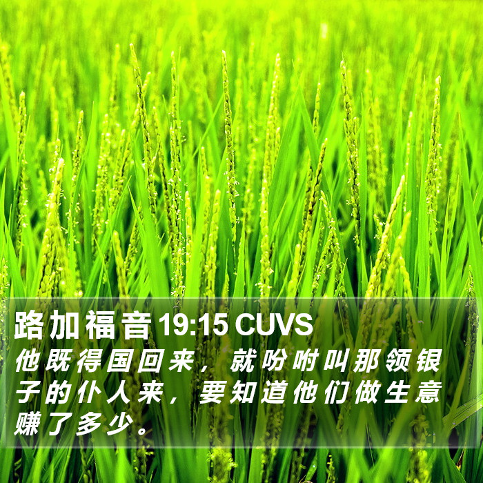 路 加 福 音 19:15 CUVS Bible Study