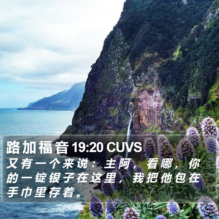 路 加 福 音 19:20 CUVS Bible Study