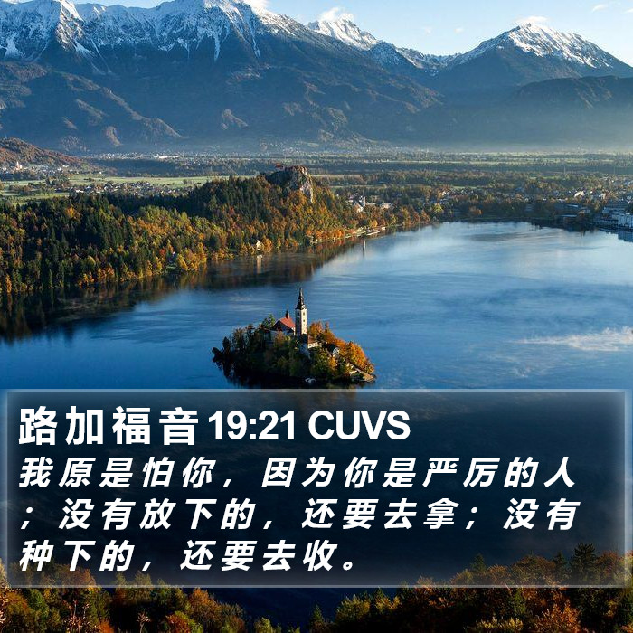 路 加 福 音 19:21 CUVS Bible Study