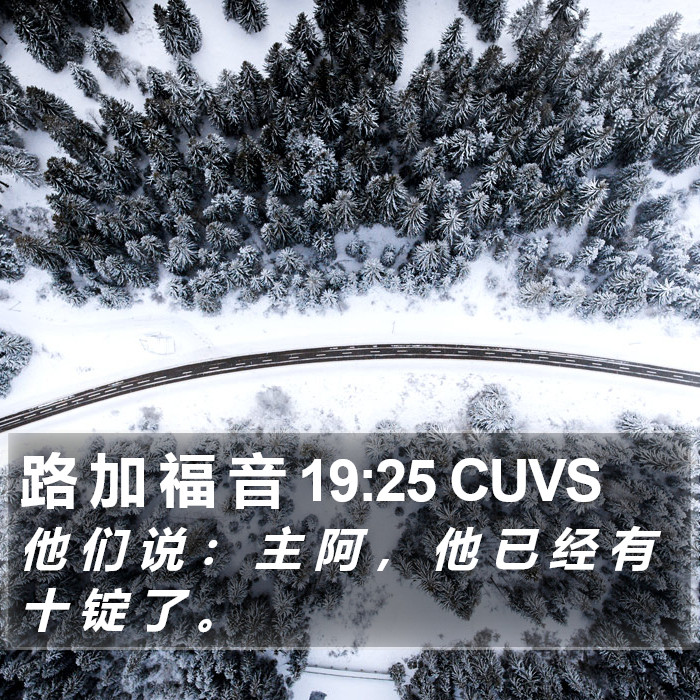 路 加 福 音 19:25 CUVS Bible Study