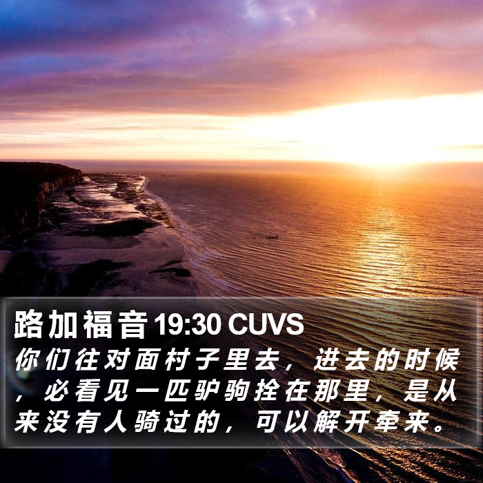 路 加 福 音 19:30 CUVS Bible Study