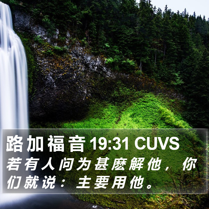 路 加 福 音 19:31 CUVS Bible Study