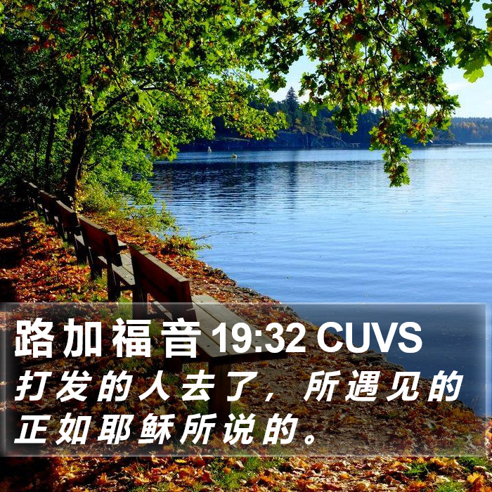 路 加 福 音 19:32 CUVS Bible Study