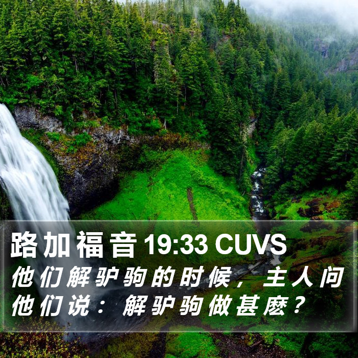 路 加 福 音 19:33 CUVS Bible Study