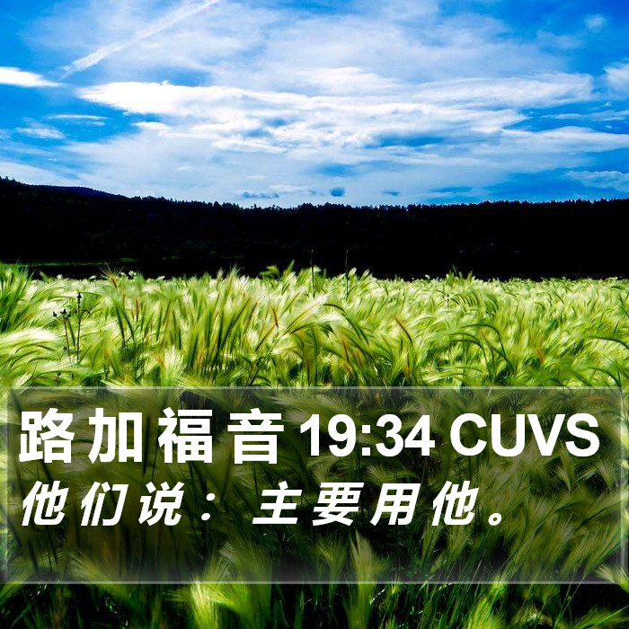 路 加 福 音 19:34 CUVS Bible Study