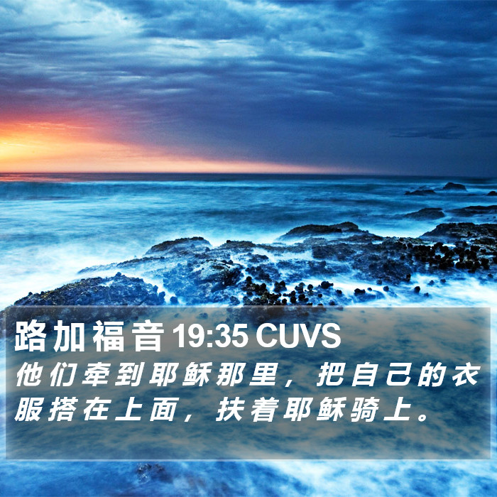 路 加 福 音 19:35 CUVS Bible Study