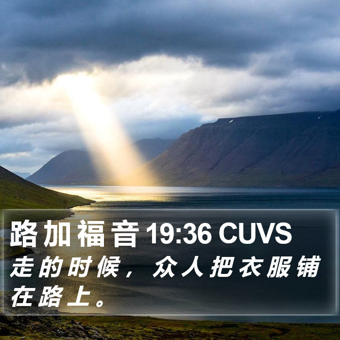 路 加 福 音 19:36 CUVS Bible Study