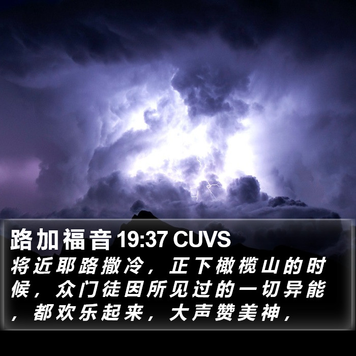 路 加 福 音 19:37 CUVS Bible Study