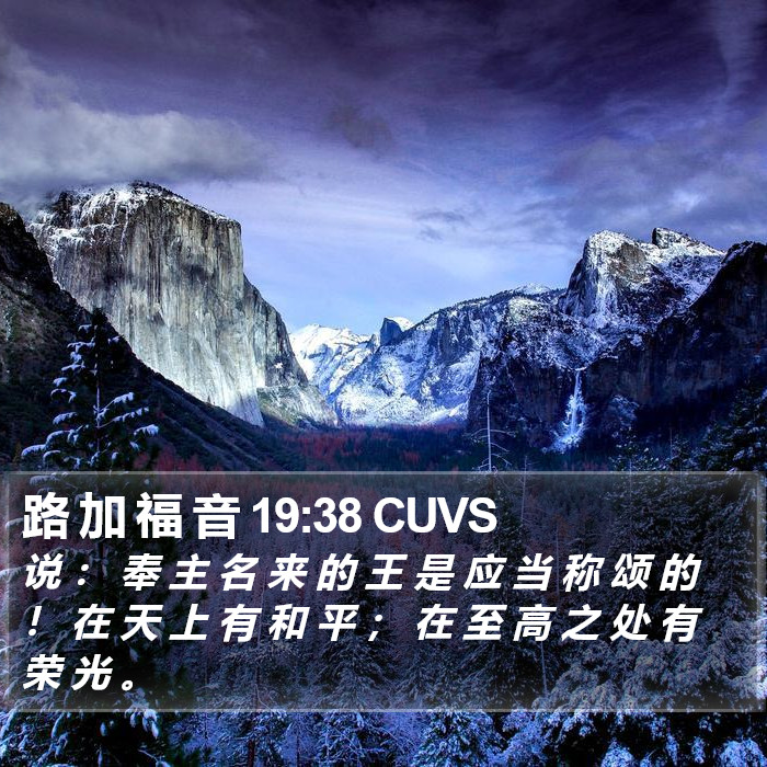 路 加 福 音 19:38 CUVS Bible Study