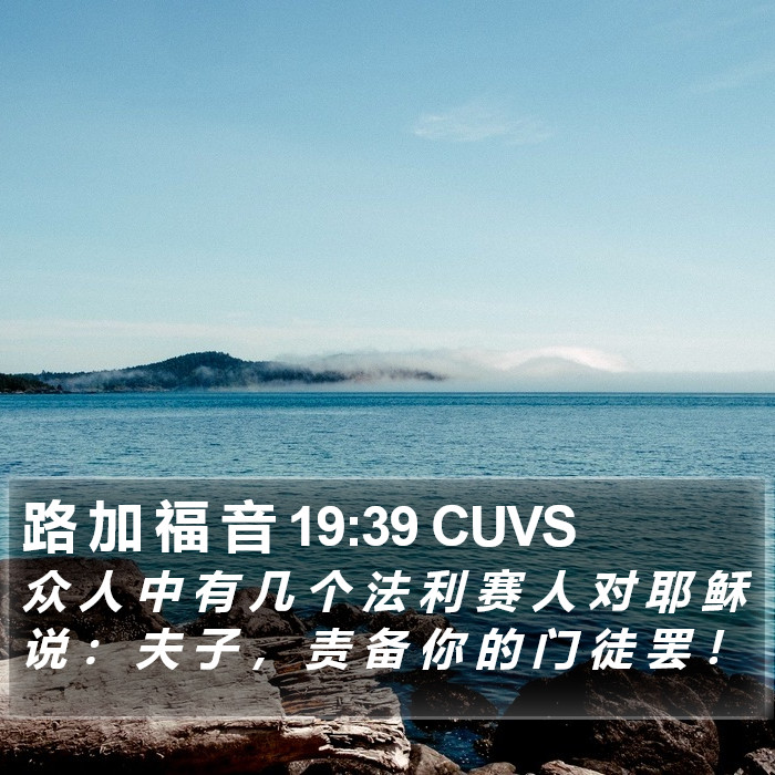 路 加 福 音 19:39 CUVS Bible Study