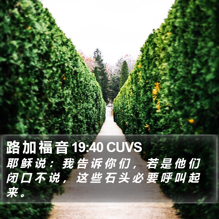 路 加 福 音 19:40 CUVS Bible Study