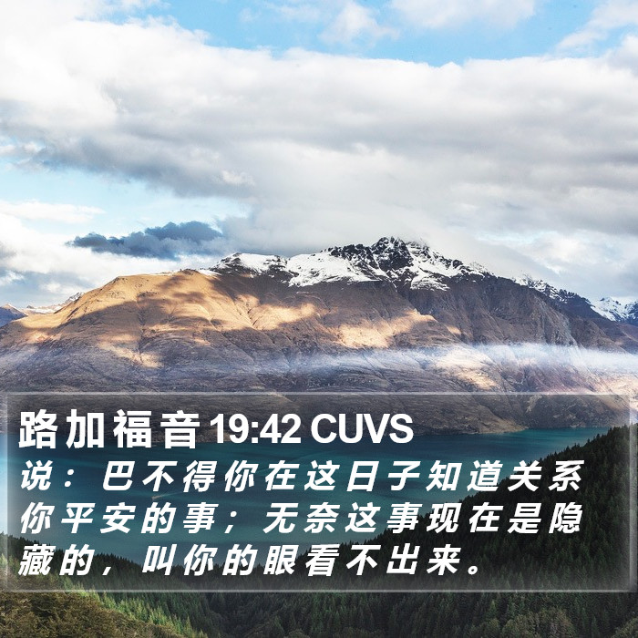 路 加 福 音 19:42 CUVS Bible Study