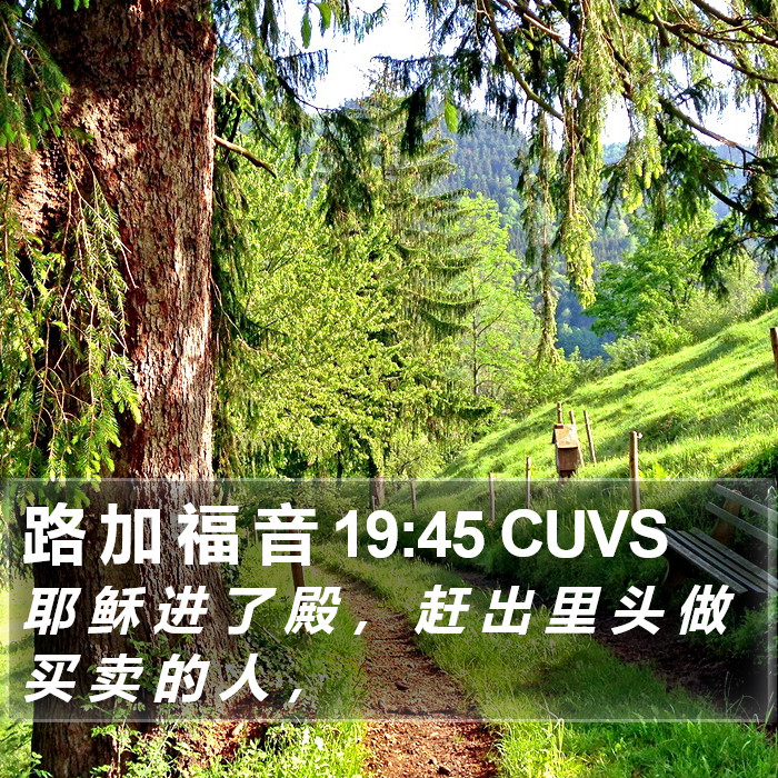 路 加 福 音 19:45 CUVS Bible Study