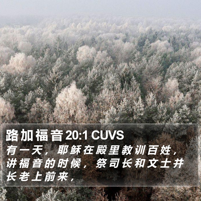 路 加 福 音 20:1 CUVS Bible Study