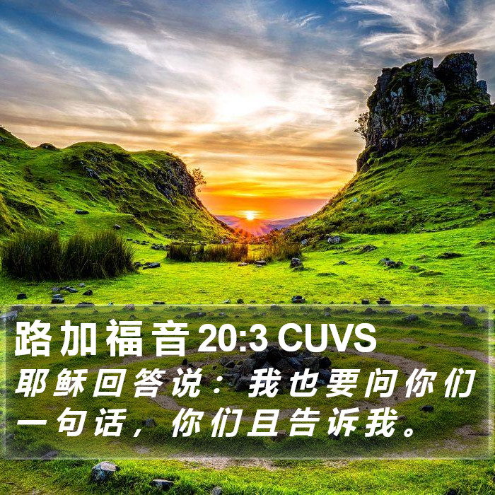 路 加 福 音 20:3 CUVS Bible Study