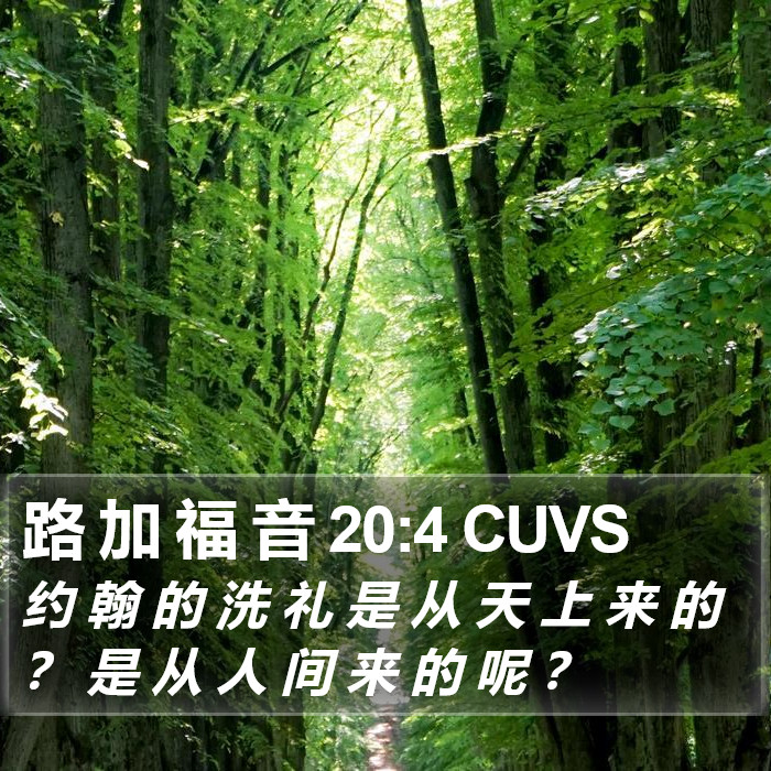 路 加 福 音 20:4 CUVS Bible Study