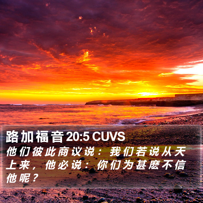 路 加 福 音 20:5 CUVS Bible Study