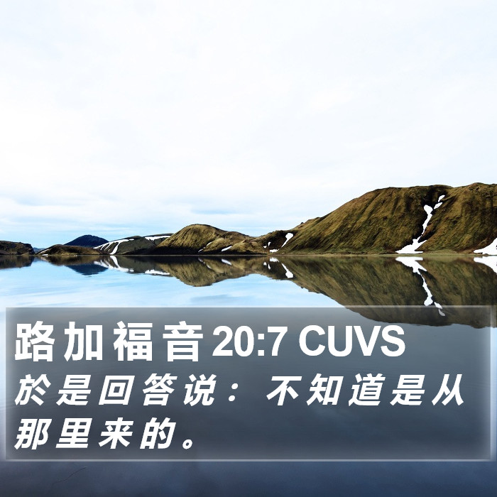 路 加 福 音 20:7 CUVS Bible Study