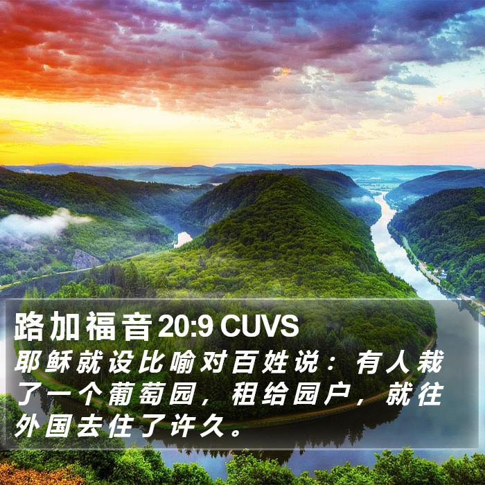 路 加 福 音 20:9 CUVS Bible Study