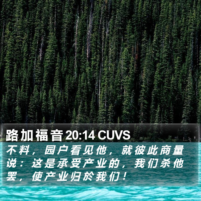 路 加 福 音 20:14 CUVS Bible Study