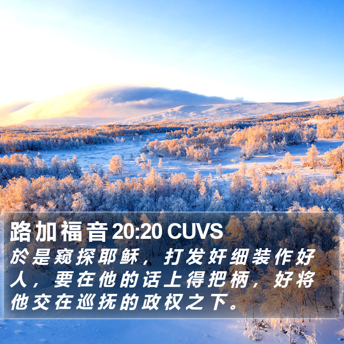 路 加 福 音 20:20 CUVS Bible Study