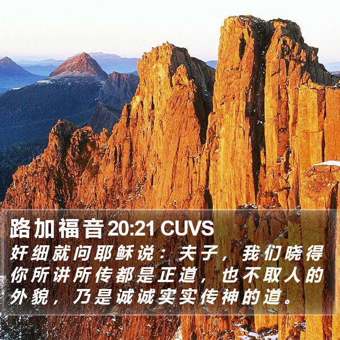 路 加 福 音 20:21 CUVS Bible Study