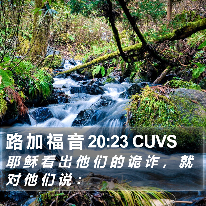 路 加 福 音 20:23 CUVS Bible Study