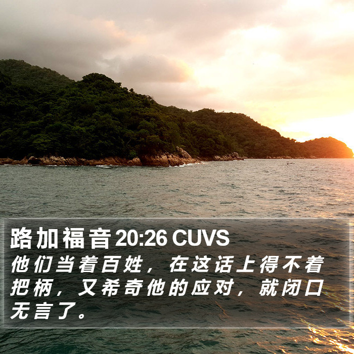 路 加 福 音 20:26 CUVS Bible Study