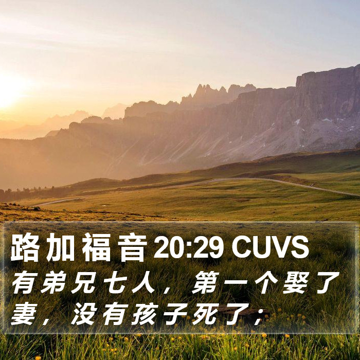 路 加 福 音 20:29 CUVS Bible Study