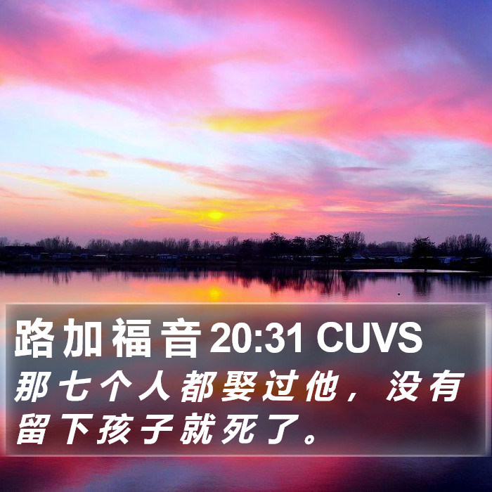 路 加 福 音 20:31 CUVS Bible Study