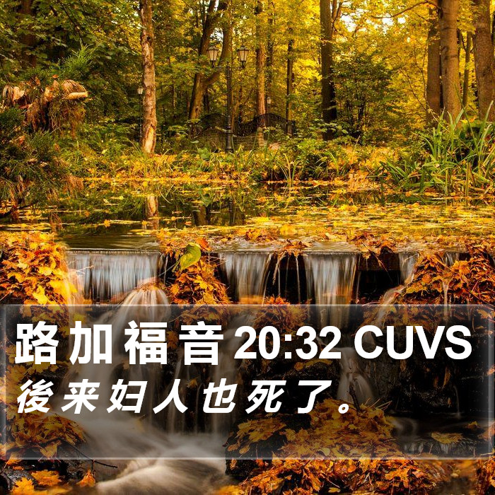 路 加 福 音 20:32 CUVS Bible Study