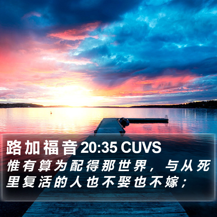 路 加 福 音 20:35 CUVS Bible Study