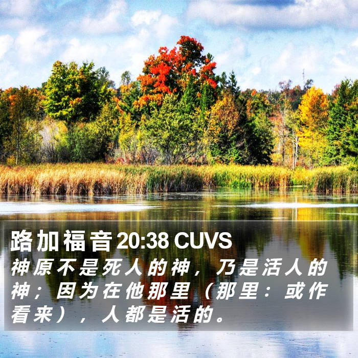 路 加 福 音 20:38 CUVS Bible Study