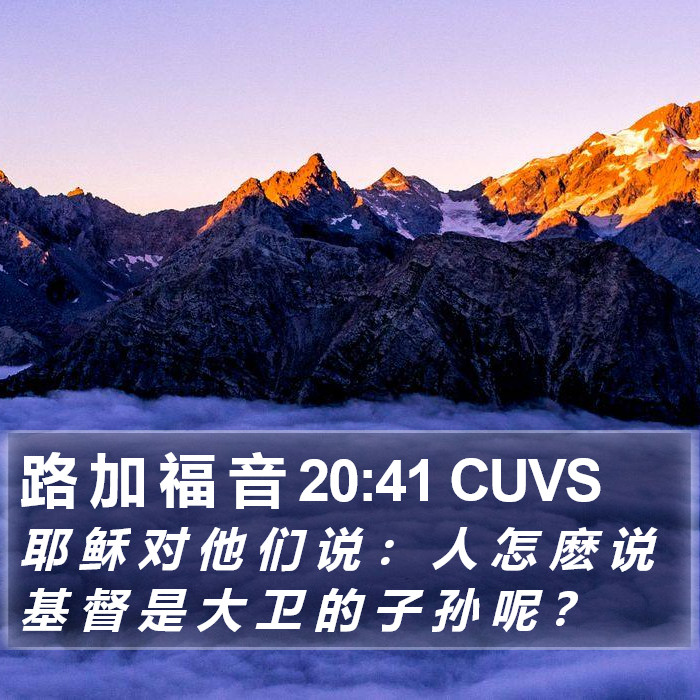 路 加 福 音 20:41 CUVS Bible Study