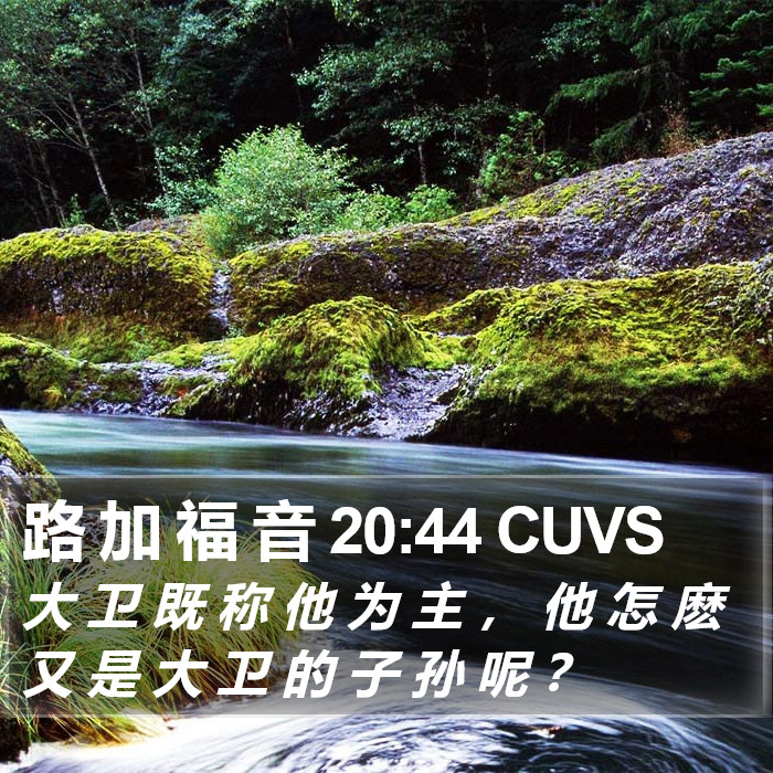 路 加 福 音 20:44 CUVS Bible Study