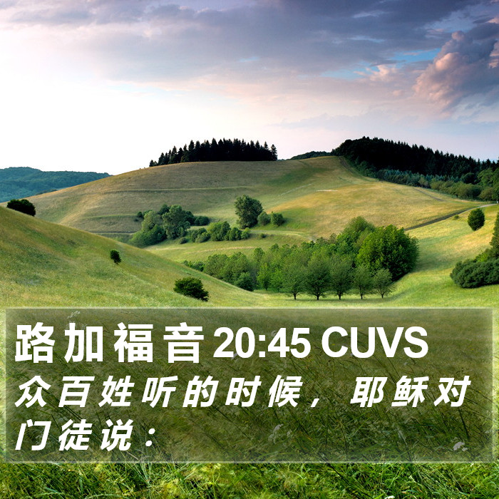 路 加 福 音 20:45 CUVS Bible Study