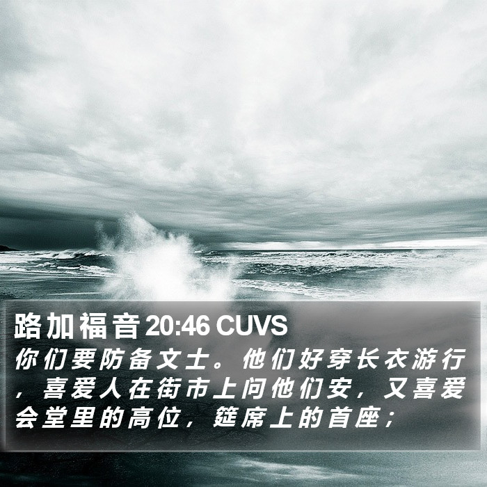 路 加 福 音 20:46 CUVS Bible Study