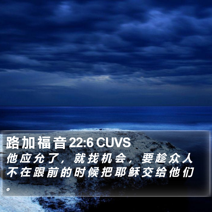 路 加 福 音 22:6 CUVS Bible Study