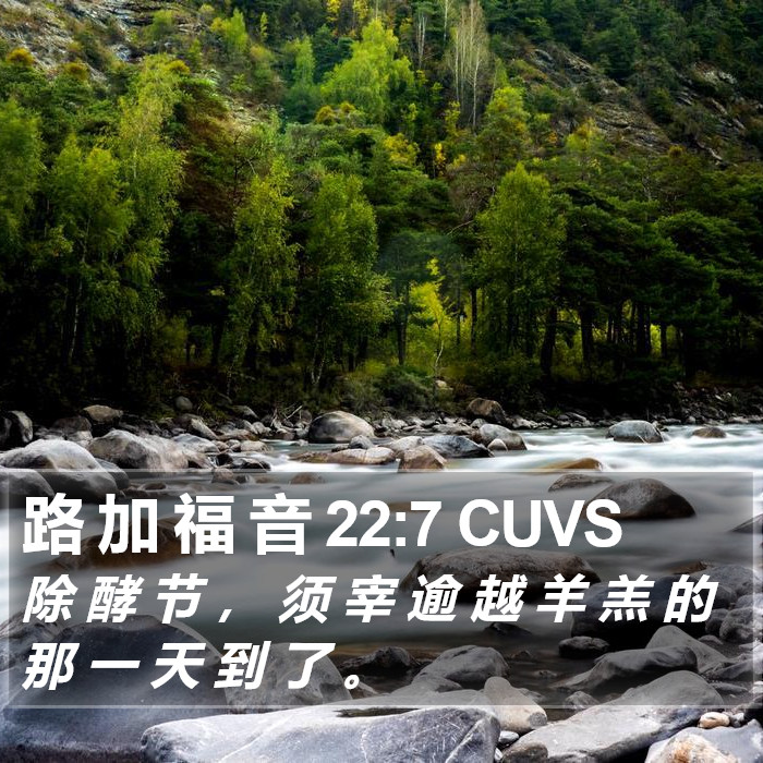 路 加 福 音 22:7 CUVS Bible Study