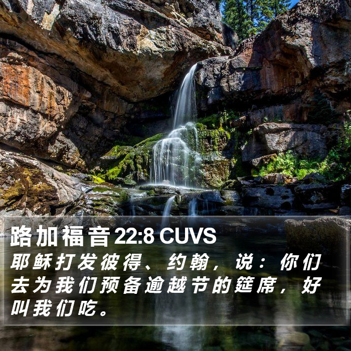 路 加 福 音 22:8 CUVS Bible Study