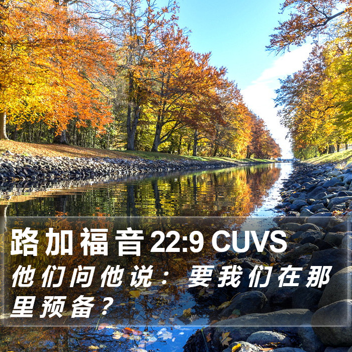 路 加 福 音 22:9 CUVS Bible Study