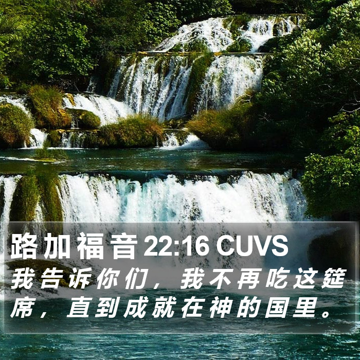 路 加 福 音 22:16 CUVS Bible Study