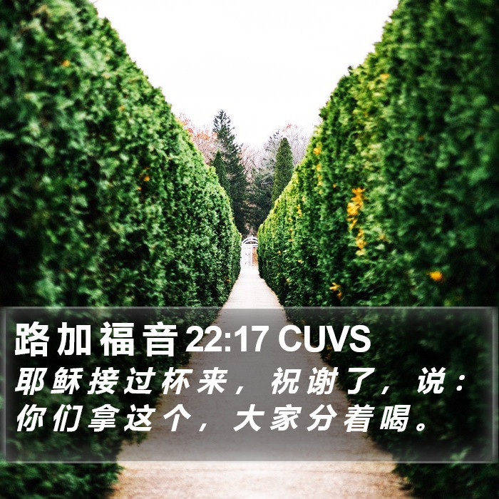 路 加 福 音 22:17 CUVS Bible Study