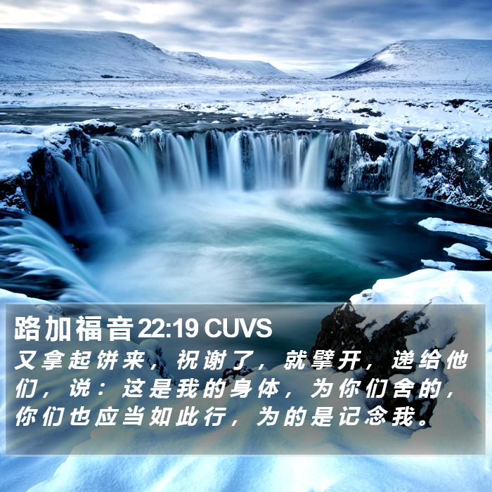 路 加 福 音 22:19 CUVS Bible Study