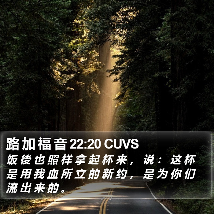 路 加 福 音 22:20 CUVS Bible Study