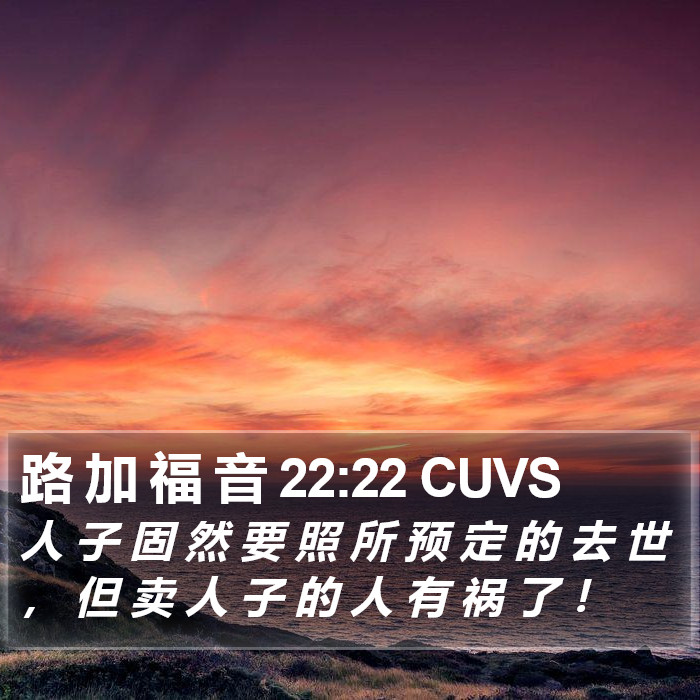 路 加 福 音 22:22 CUVS Bible Study