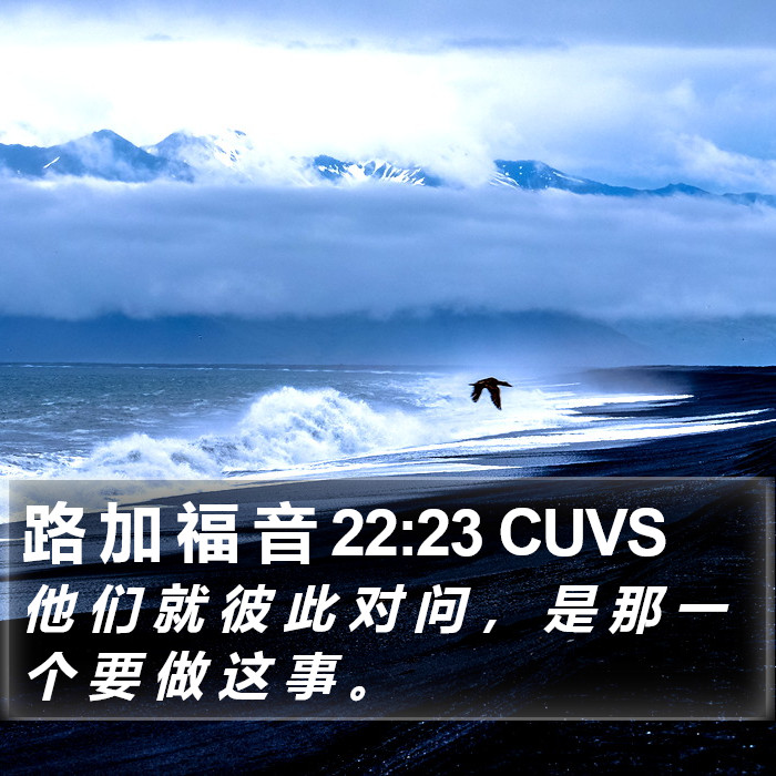 路 加 福 音 22:23 CUVS Bible Study