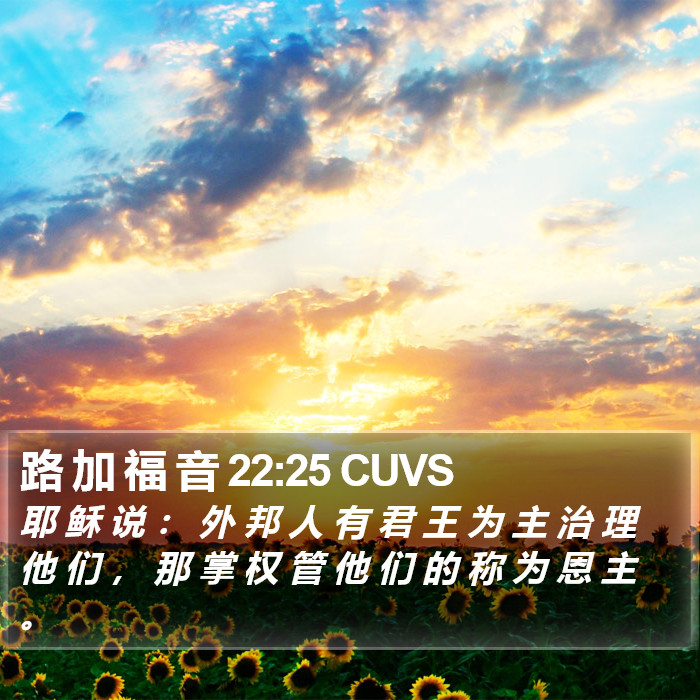 路 加 福 音 22:25 CUVS Bible Study